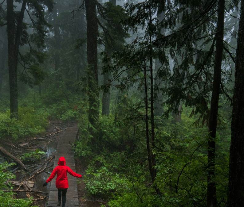 Finding Light in the Dark: How Acupuncture Can Help with Seasonal Affective Disorder (SAD)